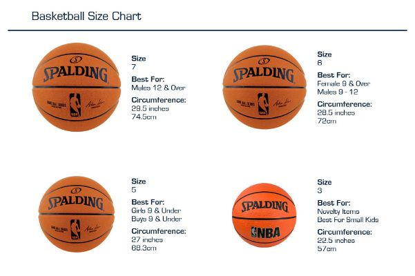 篮球多大尺寸才是标准尺寸？-第2张图片-www.211178.com_果博福布斯